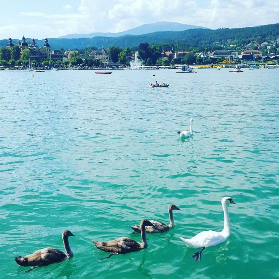 Superior-Apartment Mit Pool Und Seezugang Velden am Wörthersee Dış mekan fotoğraf